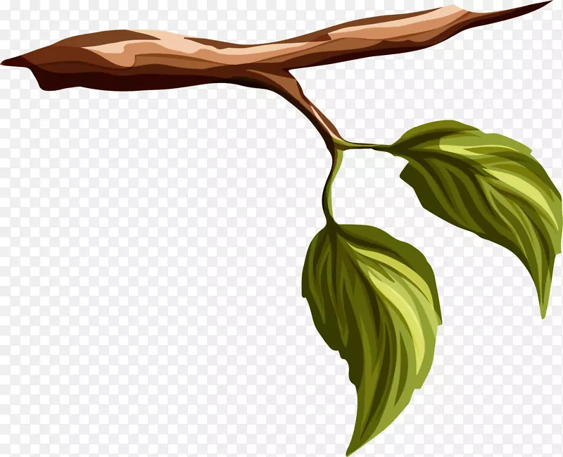 ����ɫ��ͨ��֦-������