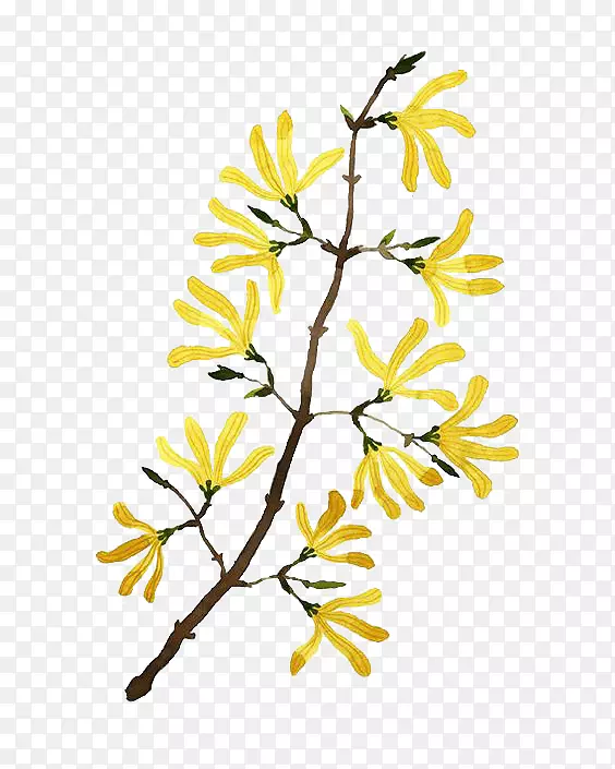 ��֦-������