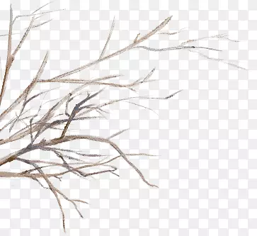 ��֦-������