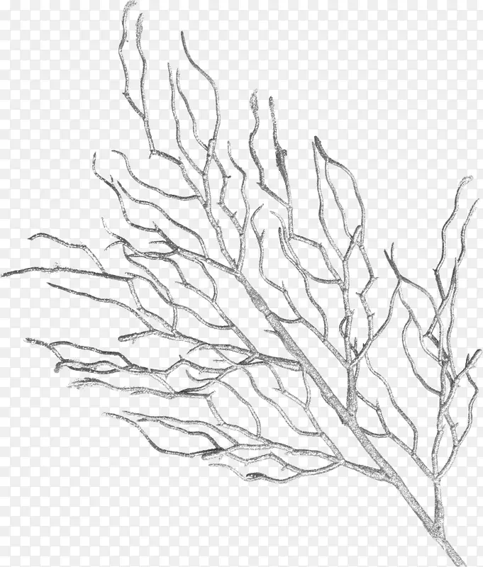 �ֻ���֦-������