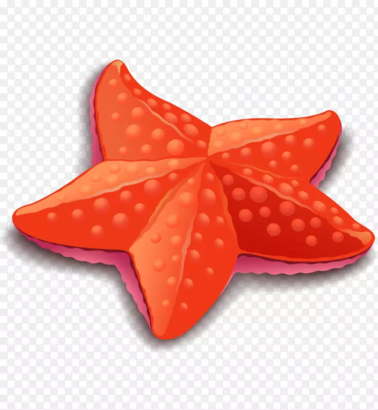 �ֻ溣��-������