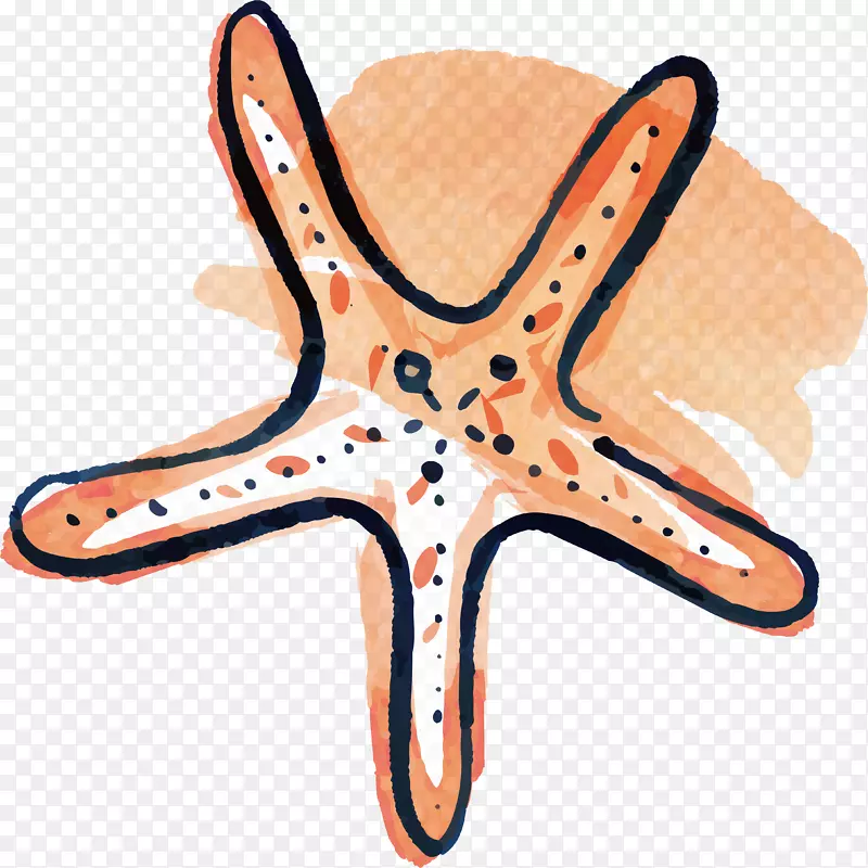 ˮ�ʺ����ﺣ��-������