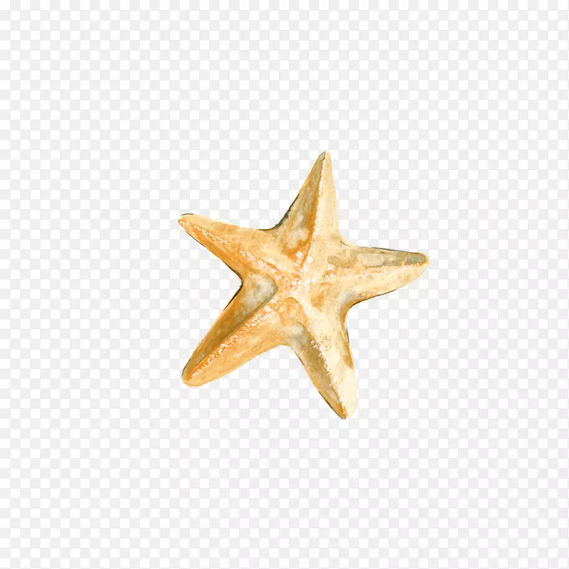 ˮ�ʺ���-������