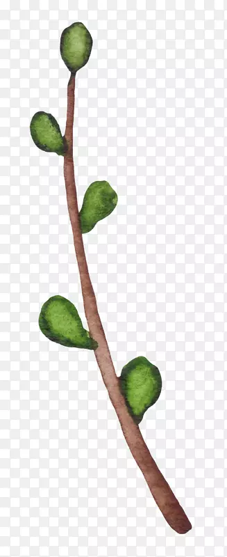 �ɰ�С����װ�κ���װ����֦-������