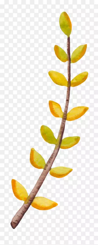 �ɰ�С����װ�κ���װ����֦-������