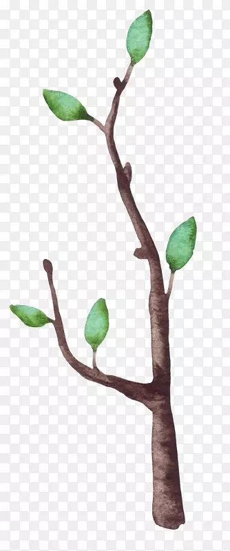 �ɰ�С����װ�κ���װ����֦-������