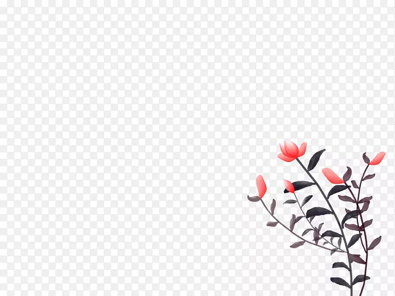 ˮ��   ��    ��Ҷ   ��֦-������