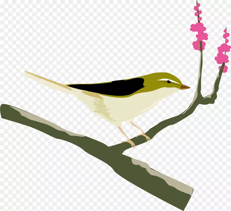 վ����֦�ϵ���ȸ-������