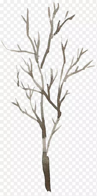 �ӽ���ɫ��ˮ�ʿ���֦-������