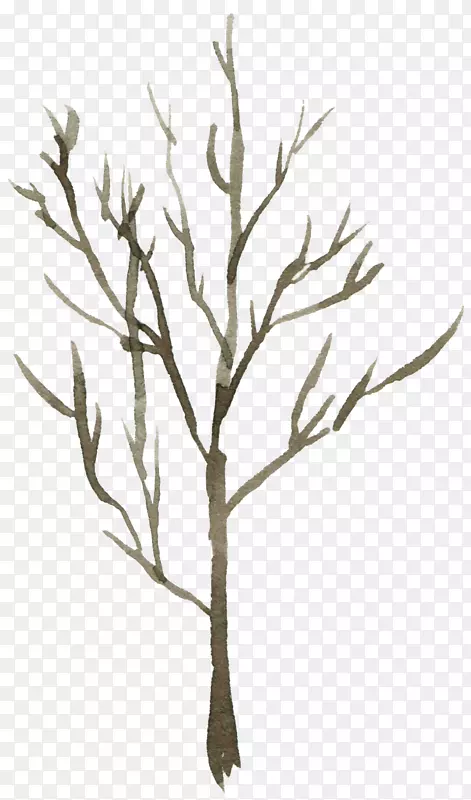 ����ɫ��ˮ�ʿ���֦-������