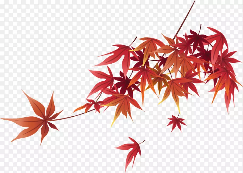 ��ɫ��Ҷʸ���ز�-������