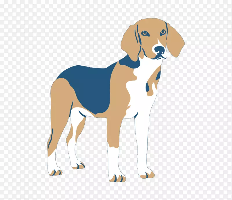 ��ͨ�ɰ�С����װ�ζ���ͷ��-������