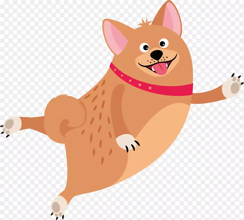 ��ͨ��Ƥ�Ĺ�������-������