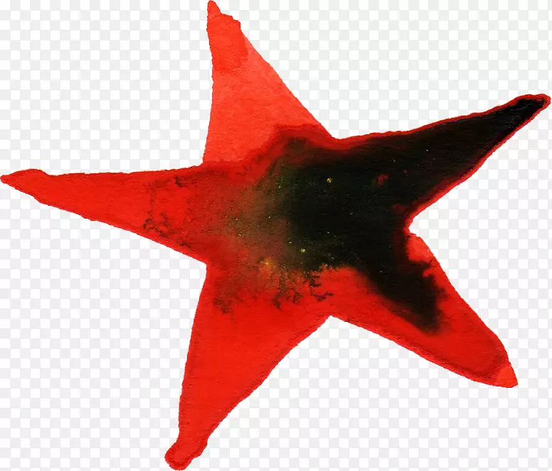 ˮ�ʻ���ˮ�ʻ���̺֮��-ˮ�ʻ�֮��-������