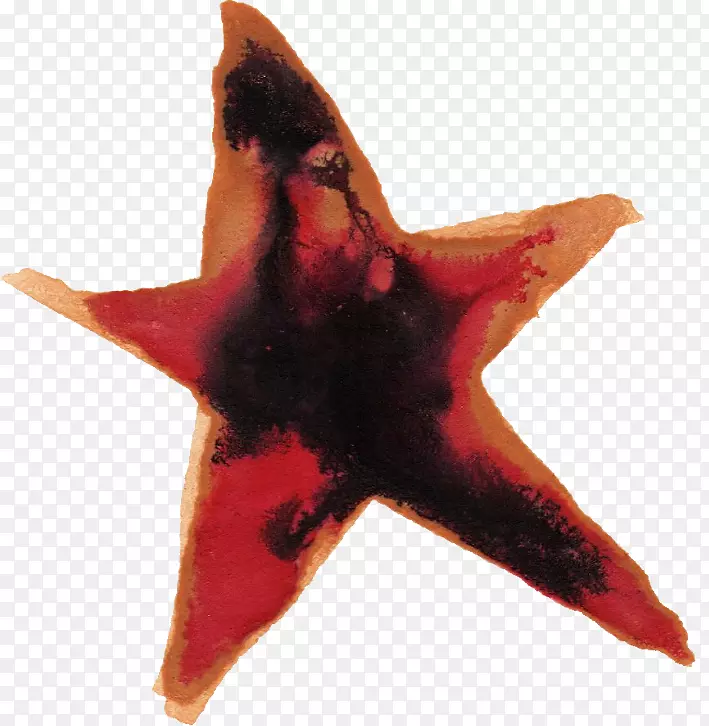 ˮ�ʻ���ˮ�ʻ�����-������