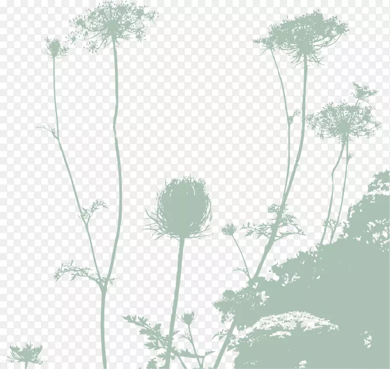 ���ݼ�Ӱ-������