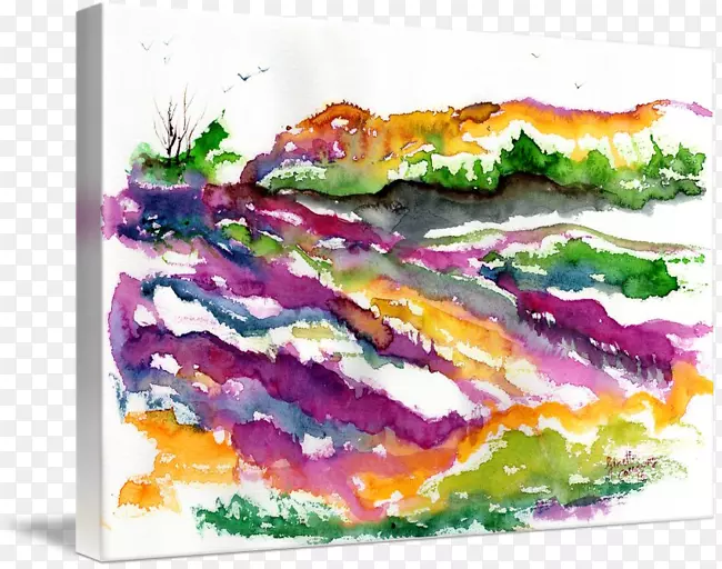 ����ˮ�ʻ��е��ִ�ˮ�ʣ�ˮ�ʻ�������һ����Ȥ�ĵ���̽��-޹�²�ˮ��-������