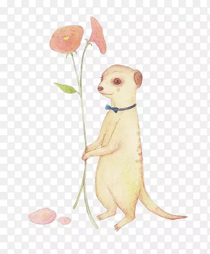 �ֻ�С��ʾ��-������