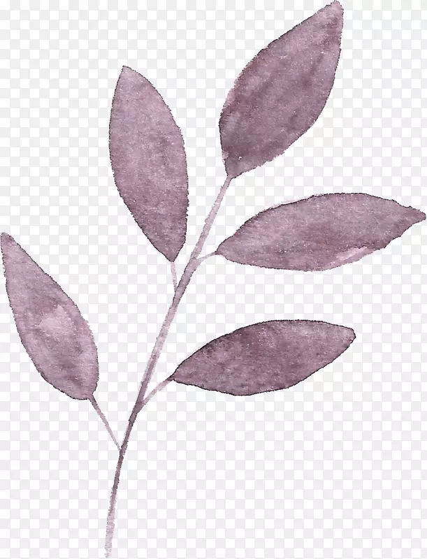 �ֻ�ˮ����Ҷ-������