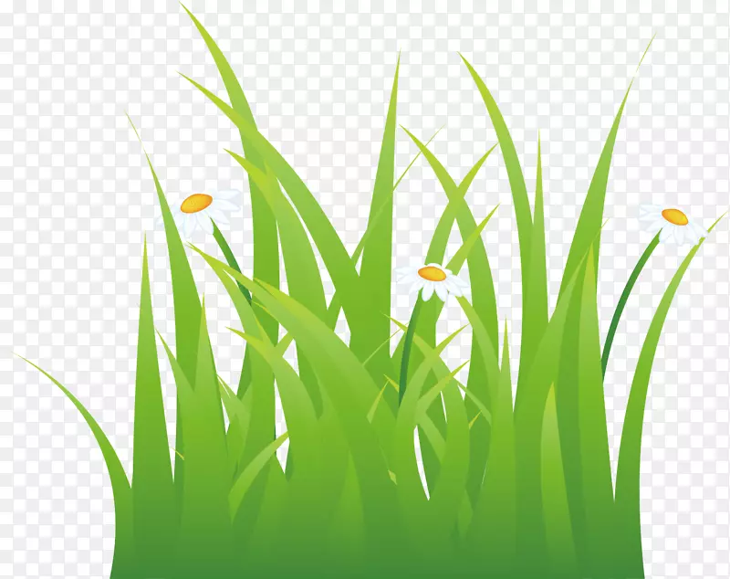 �ݴ�pngʸ���ز�-������