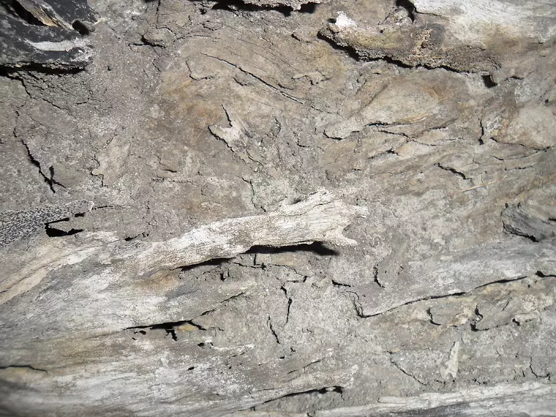 ������������-������