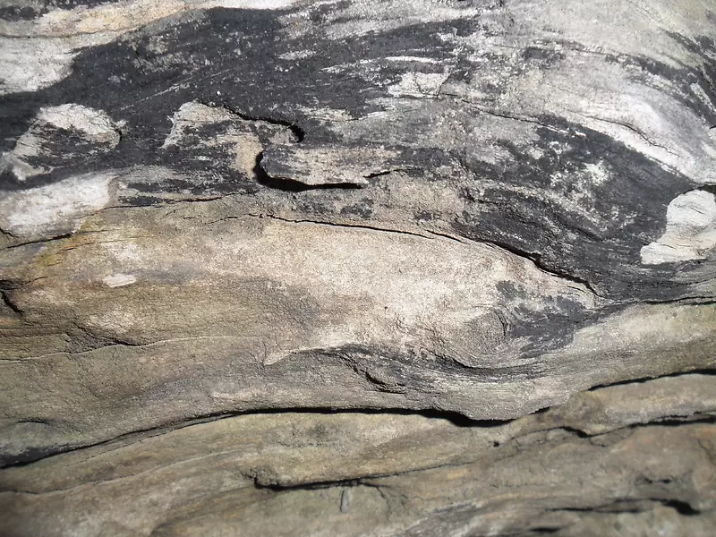 ��Ƥ��������-������