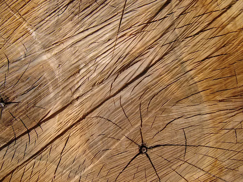 ľ����������-������