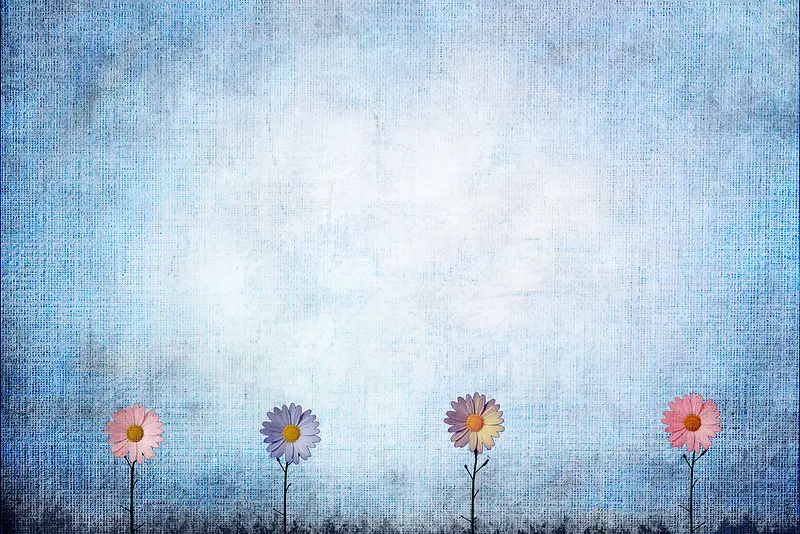 ���žջ������߿�-������