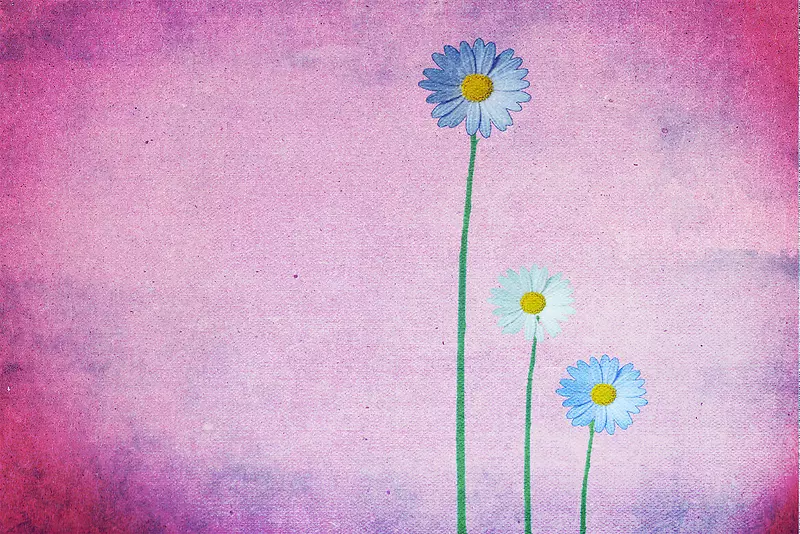 �����ʻ�����-������