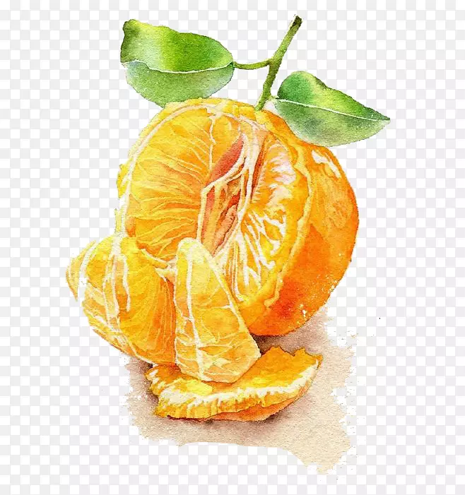 ˮ������-������