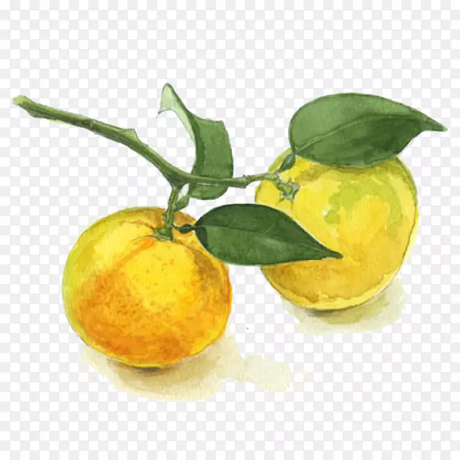 ˮ������-������