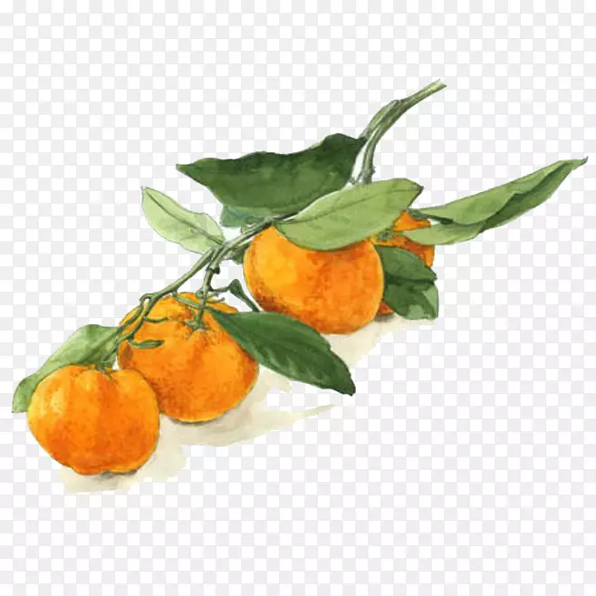 ˮ������-������