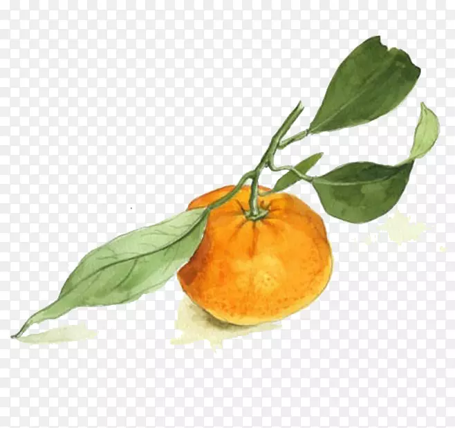 ˮ������-������