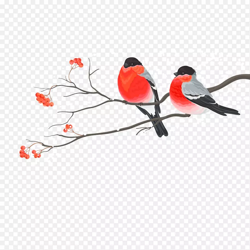 �ֻ氮�����������-������