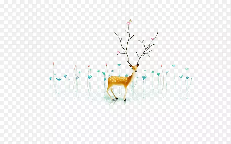 ����-������