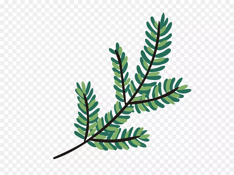 ��Ҷ������Ҷ��ͨʸ���ز�-������