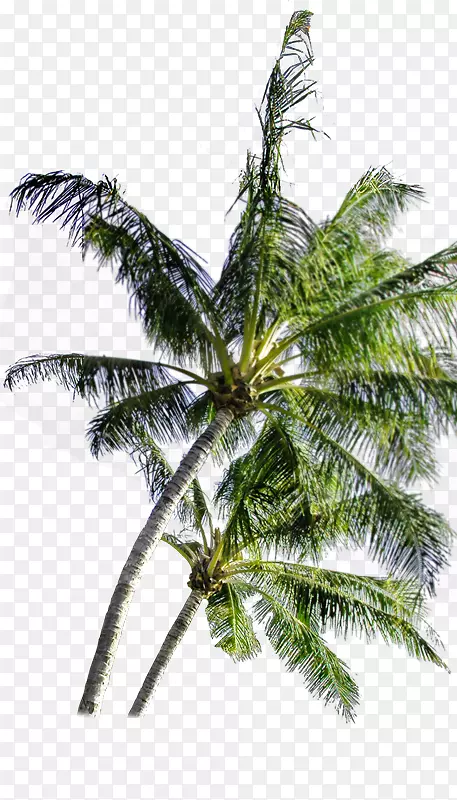 �����ز�-������