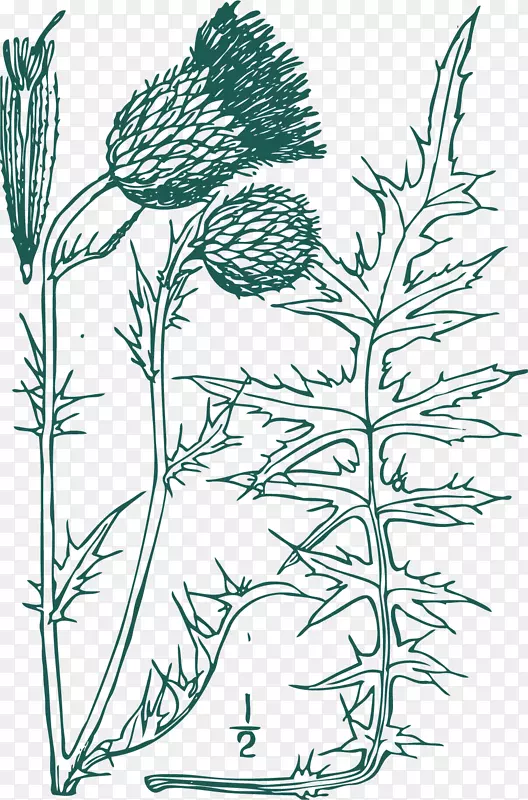 ����ʸ����ͨˮ�ɼ�-������