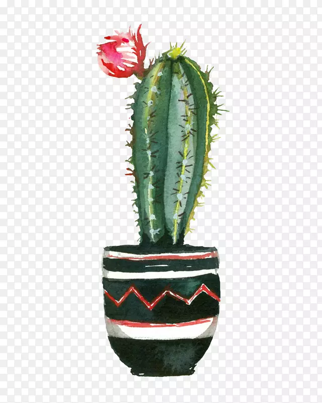 �ֻ濪����������ֲ��-������