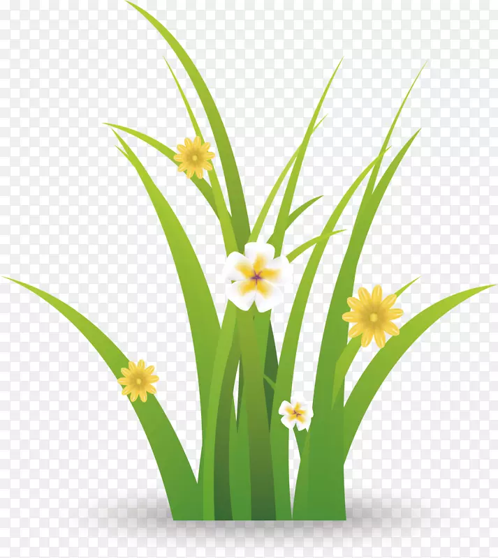 ��ɫ�ݵؿ���Ԫ��-������