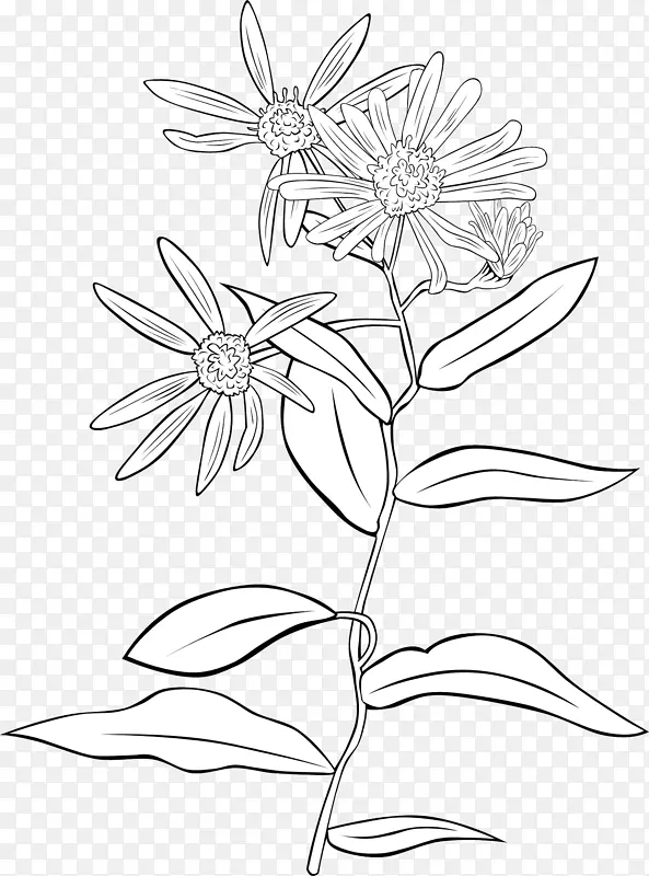 һ��Ұ�ջ�-������