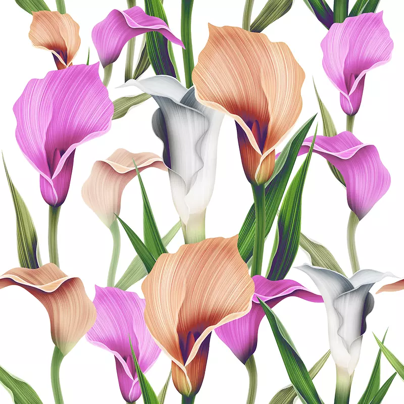 ���������䱳��-������