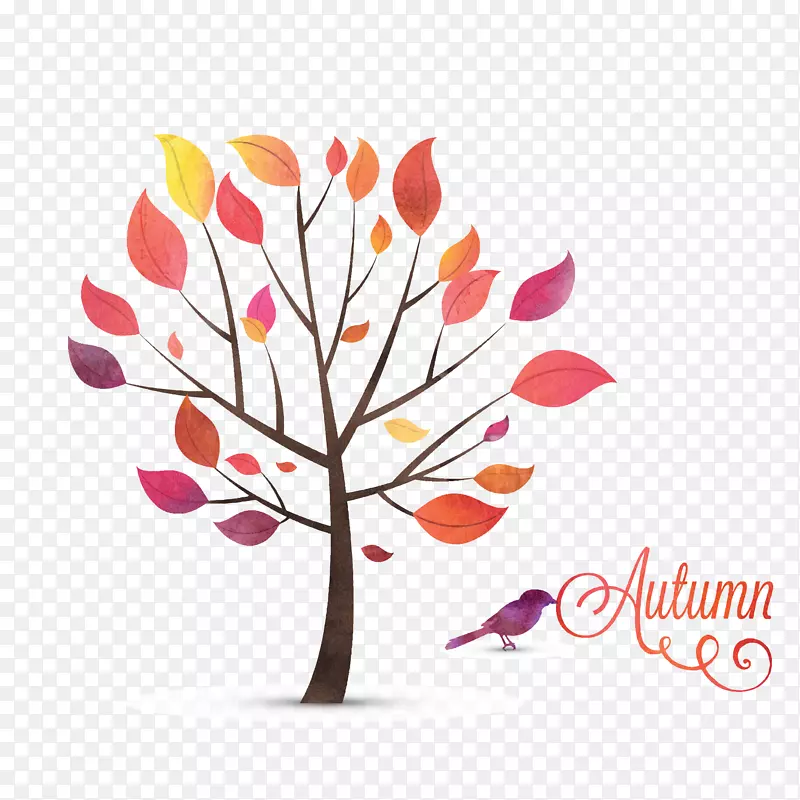 �＾����-������