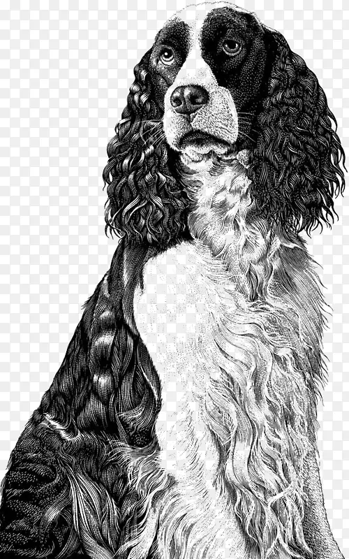 �ڰ׾���С���廭-������