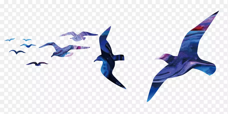 ��Ⱥ�ز�-������