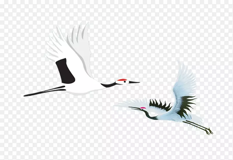 ��ֻ�ɺ�-������