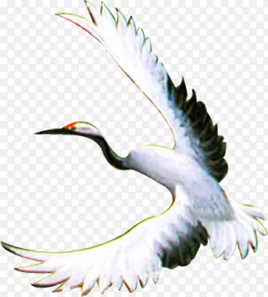 չ�����ķɺ׼�ͼ-������