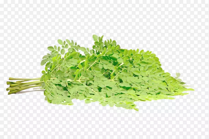 ������ľҶ��Ӱͼ-������