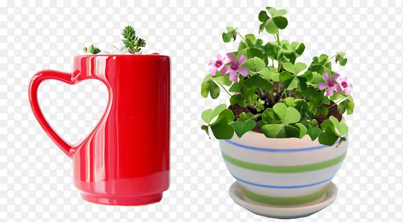 ��������-������