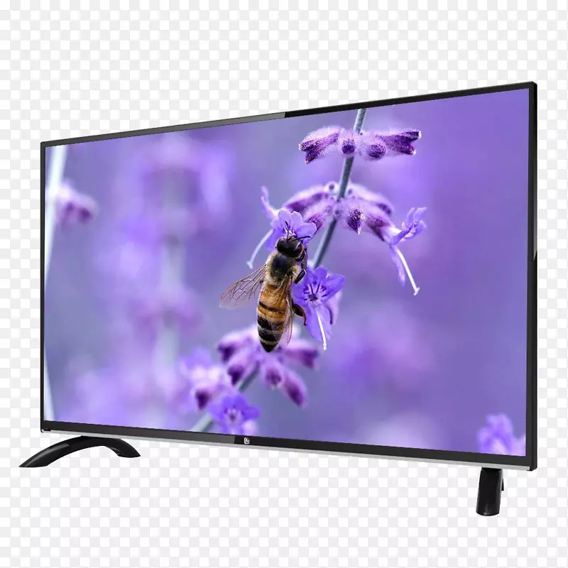 ���ܳ����������ͼ-������